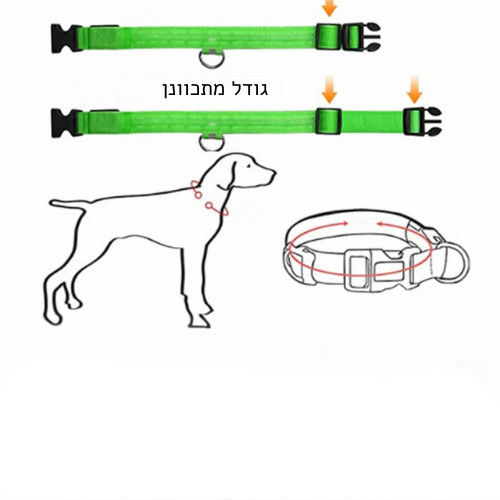 קולר זוהר ללילה