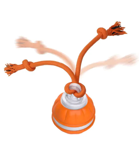 כדור כלבים אינטראקטיבי מתגלגל Peppy Paws