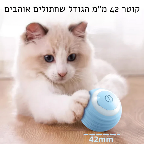 כדור נע קופץ ומתגלגל לחתולים