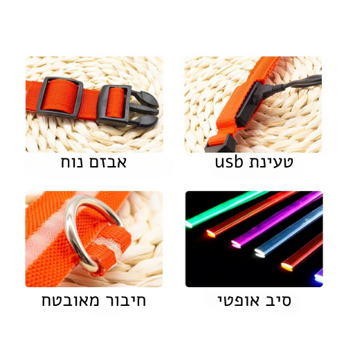 קולר זוהר ללילה
